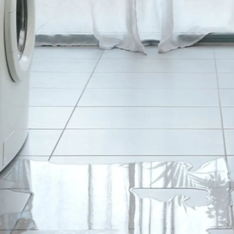 Appliance Leak Cleanup in Broward Estates, FL