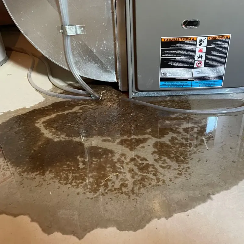 Pipe Burst and Leak Restoration in Broward Estates, FL